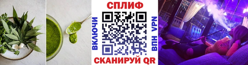 Cannafood конопля  Купить закладки  Новозыбков 