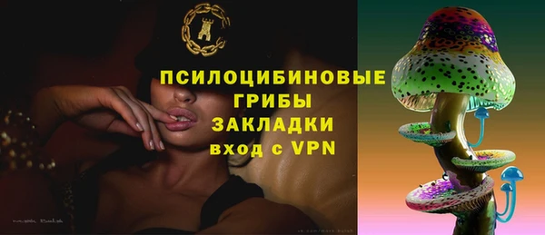 эйфоретик Верхний Тагил