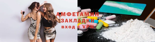 индика Верея