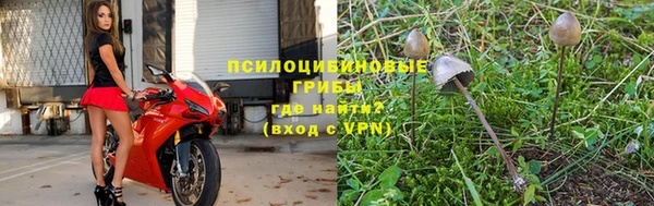 эйфоретик Верхний Тагил