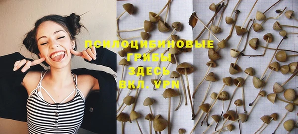 индика Верея