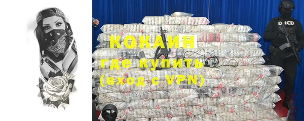 индика Верея