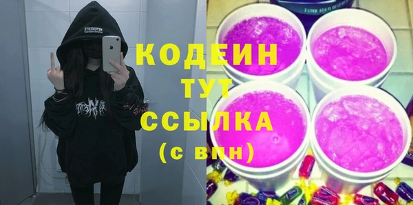 индика Верея