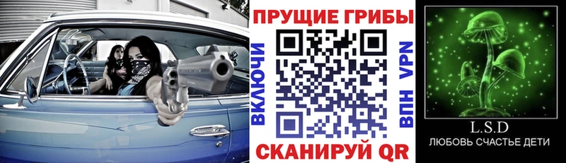 Псилоцибиновые грибы мицелий  Купить закладки  Новозыбков 